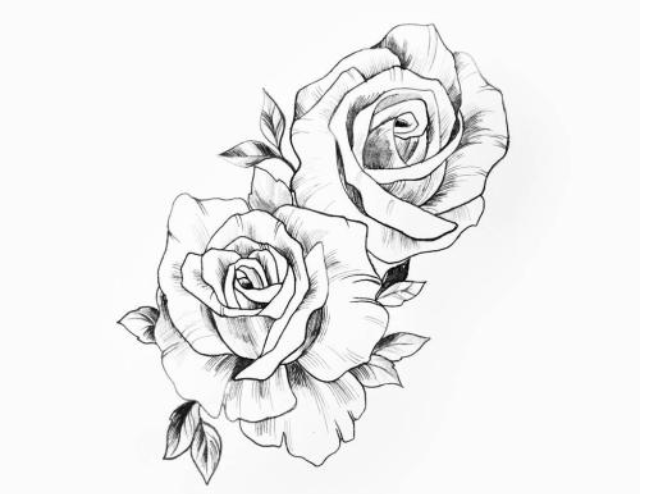 玫瑰花素描教程，讓你輕松學會玫瑰花的繪畫技法